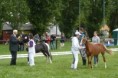 /album/fotogalerie-mezinarodni-sampionat-welsh-pony-a-cob/mezinarodni-sampionat-welsh-pardubice-2010-364-jpg/